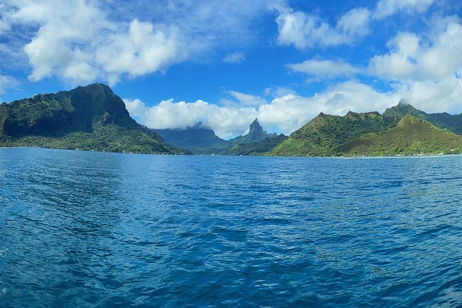 Half-Day Humpback Whales Encounter in Moorea - Key Highlights You’ll Care About