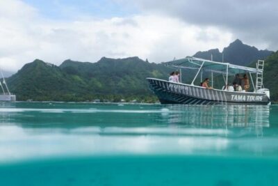 Half-Day Humpback Whales Encounter in Moorea - From Coco Beach Parking to Open Water in About Four Hours