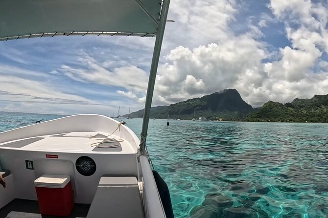 Half-Day Humpback Whales Encounter in Moorea - Whale Search Along Moorea’s Coast: How You’ll Actually See Them