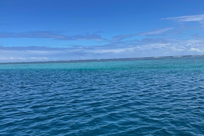 Half-Day Humpback Whales Encounter in Moorea - What It Feels Like When a Calf Comes Close
