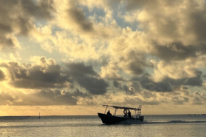 Half-Day Humpback Whales Encounter in Moorea - Who This Tour Fits Best (And Who Might Prefer the Boat)