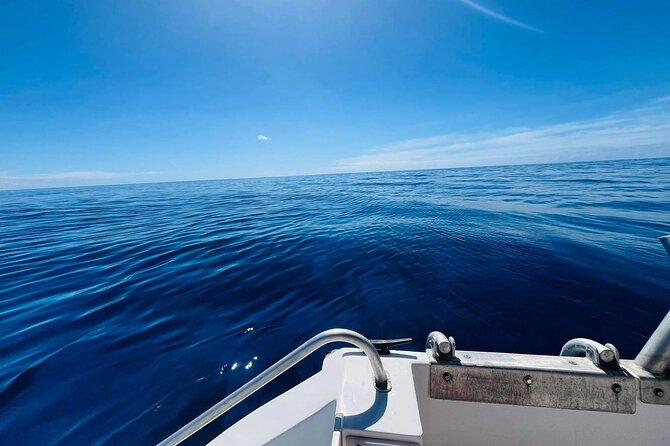 Half-Day Humpback Whales Encounter in Moorea - Price and Value: Is $236.85 Worth It?