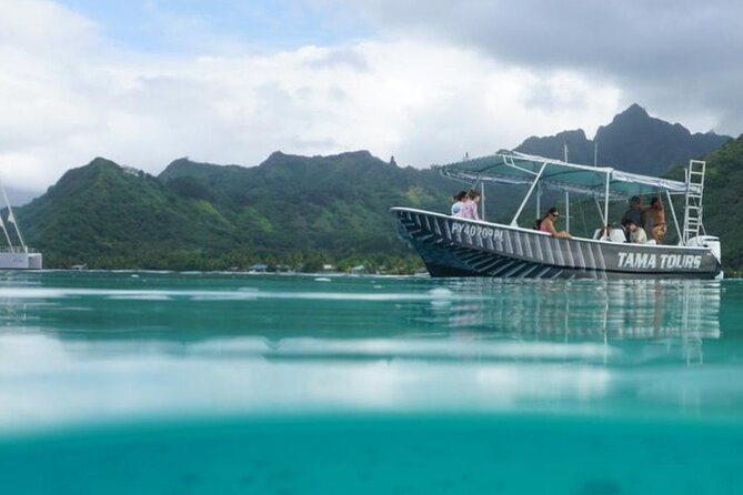 Half-Day Humpback Whales Encounter in Moorea - From Coco Beach Parking to Open Water in About Four Hours