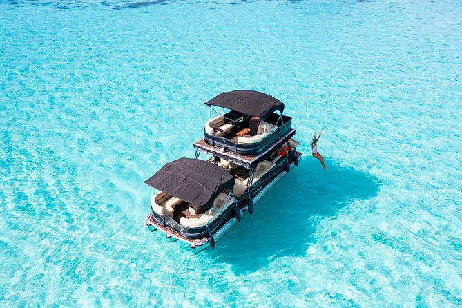 Half Day Private Whale Watching in Moorea - What You’ll Actually See Besides Whales