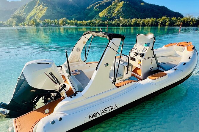 Half Day Private Whale Watching in Moorea - Price and Value: What $976.97 per Group Really Means