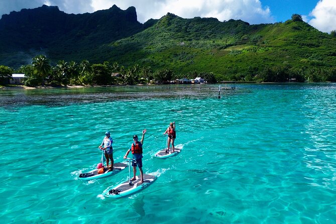 Half Day Small Group Whale Watching - Coco Beach meeting point: simple start, no mystery detour