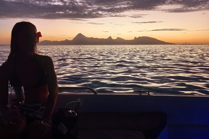 Half Day Whale Watching in a Small Shared Group - Should You Book Tahiti Ocean Adventures for Whales in Arue?