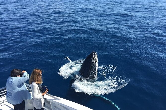Half-Day Whale Watching Tour from Burnett Heads with Lunch - Reef Empress or Main Event: why the catamaran layout is more than a selling point
