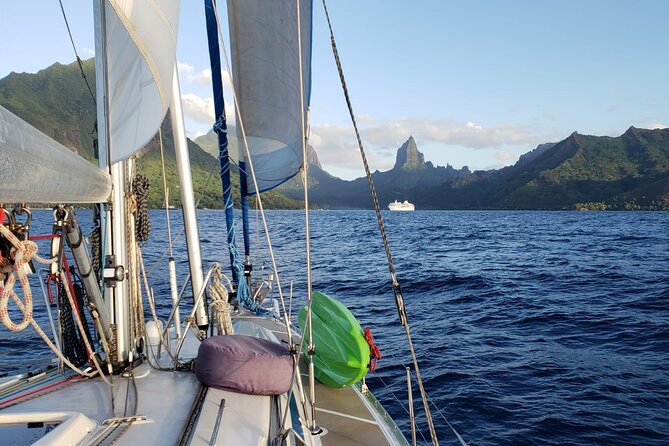 Half day whale watching - Without launch - What Included Extras Actually Do (And What Doesn’t)