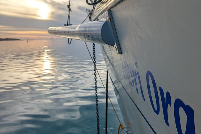 Half day whale watching - Without launch - The Meeting Point: Use the Plus Code and Don’t Wing It