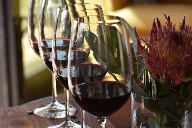 Hermanus Whale Watching and Wine Tasting - Price of $235: where the value actually comes from