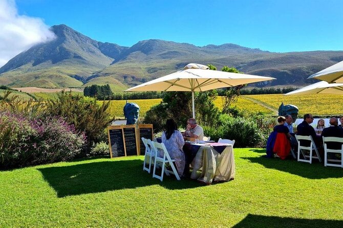 Hermanus Whale Watching and Wine Tasting Private Tour - Stony Point Nature Reserve: penguins up close in about 30 minutes