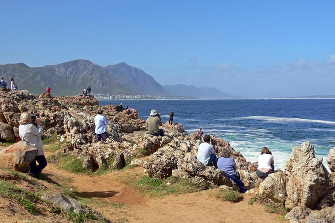 Hermanus Whale Watching Day Trip from Cape Town - Key Points at a Glance