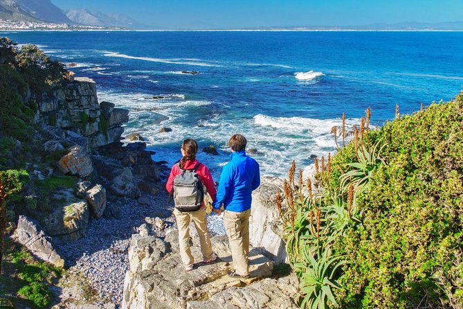 Hermanus Whale Watching Day Trip from Cape Town - Cape Town Pickup, False Bay Drive, and How the Route Helps You Watch