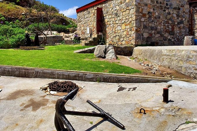 Hermanus Whale Watching Day Trip from Cape Town - Shoreline Whale Watching: Choosing the Best Viewpoints in Hermanus