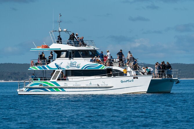 Hervey Bay: Best Value Half Day Whale Watching Cruise - Quick Take: Best Things About This Hervey Bay Whale Cruise