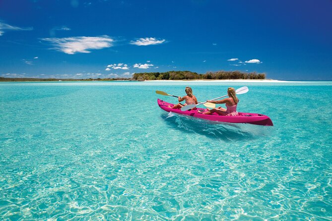 Hervey Bay: Best Value Half Day Whale Watching Cruise - Indian Head and Great Sandy National Park: Where the Ocean Gets Real