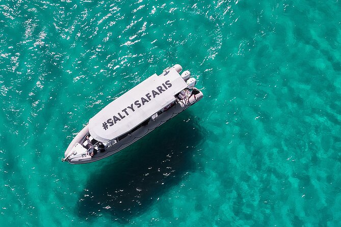 Hervey Bay: Half Day Whale watching & Island Stop Tour - Platypus Bay: The Whale-Watching Core of the Trip