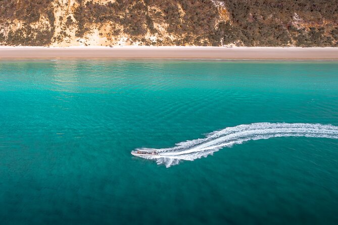 Hervey Bay: Half Day Whale watching & Island Stop Tour - What’s Included (and How That Affects Value)