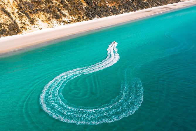 Hervey Bay: Half Day Whale watching & Island Stop Tour - Your Boat Day: What the Wipe Out Experience Feels Like