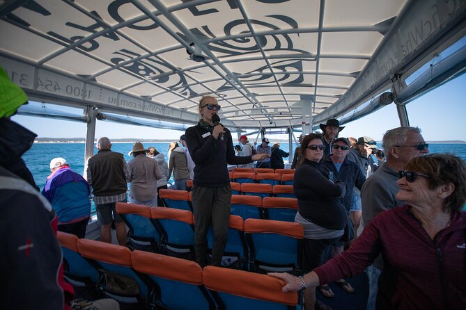 Hervey Bay Ultimate Whale Watching Cruise - Price and Value: Is $85.35 Good Whale-Watching Money?