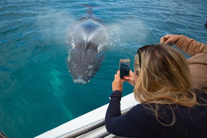 Hervey Bay Ultimate Whale Watching Cruise - Weather, Reschedules, and What to Do With a Tight Plan