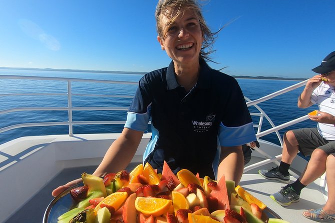 Hervey Bay Whale Watching Experience - Key Things I’d Optimize Before You Go
