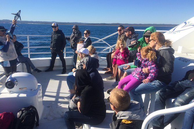 Hervey Bay Whale Watching Experience - Food and Timing: What’s Included on Morning vs Afternoon