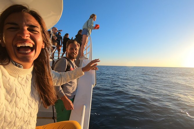 Hervey Bay Whale Watching Experience - The Itinerary in Plain English (and What to Pay Attention To)