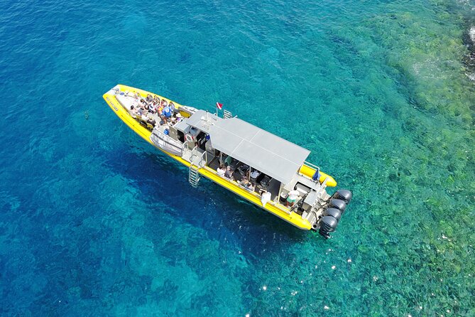 HIGH QUALITY Whale Watch Adventure Aboard Luxury Super Raft - Comfort and Viewing Space on a Small Raft