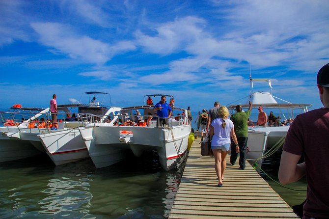 Humpback whales Watching + Samana Eco-Tour - Practical Tips: Staying Comfortable on Boat + Waterfall Days