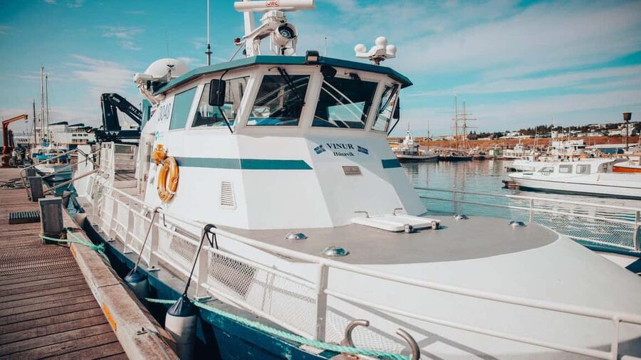 Húsavík: Family-Run and Guided Whale Watching Tour - FAQ