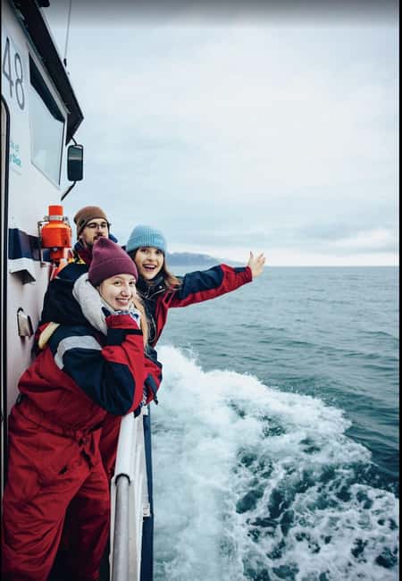 Húsavík: Family-Run and Guided Whale Watching Tour - The 3-Hour Plan: How the Skjálfandi Bay Route Works