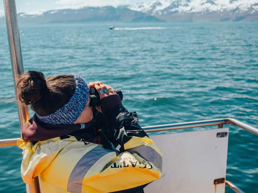 Húsavík: Family-Run and Guided Whale Watching Tour - Should You Book Friends of Moby Dick in Húsavík?