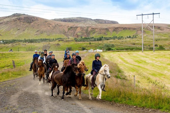 Icelandic Horse Riding and Whale Watching Cruise from Reykjavík - Hotel Eldhestar Horse Riding: Lava Fields, Lava Time