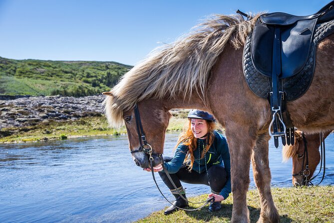 Icelandic Horse Riding and Whale Watching Tour from Reykjavik - Key Things You’ll Love About This Reykjavik Combo