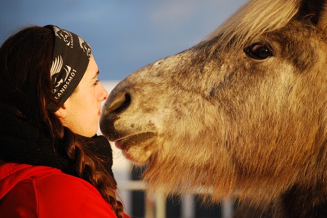 Icelandic Horse Riding and Whale Watching Tour from Reykjavik - Why This Horse + Whale Schedule Works (And Feels Less Commercial)