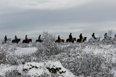 Icelandic Horse Riding and Whale Watching Tour from Reykjavik - Getting From Reykjavik To Íshestar Stables: Meeting the Icelandic Horse On Its Terms
