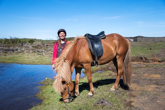 Icelandic Horse Riding and Whale Watching Tour from Reykjavik - Weather, Fog, and Cancellations: How to Plan Without Getting Stressed