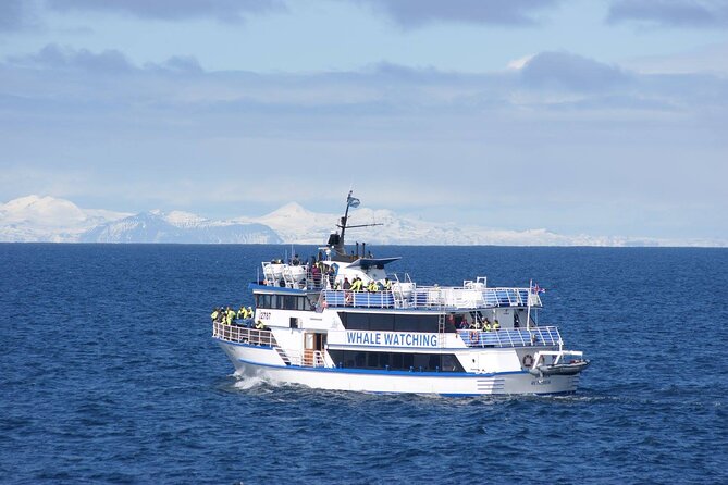 Icelandic Horse Riding and Whale Watching Tour from Reykjavik - Who This Tour Is Best For (And Who Should Consider a Separate Booking)