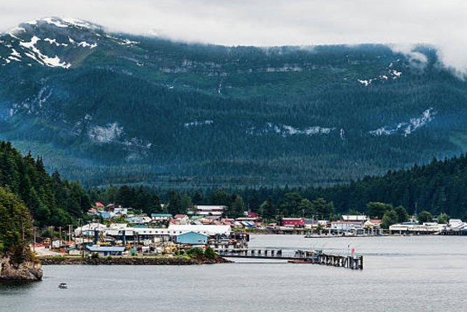 Icy Strait Shore Excursion: Whale Watching Adventure Tour - Price and value: what $326.58 covers for a short whale trip