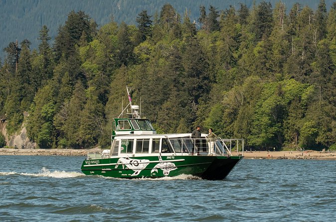 Intimate West Coast Whale Watching - Partly-Sheltered - On the water with Wild Whales Vancouver: how the crew finds whales