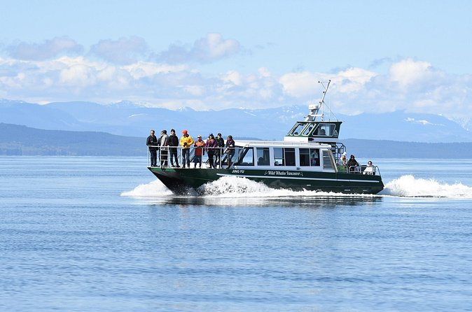 Intimate West Coast Whale Watching - Partly-Sheltered - Who should book this outing (and who should think twice)