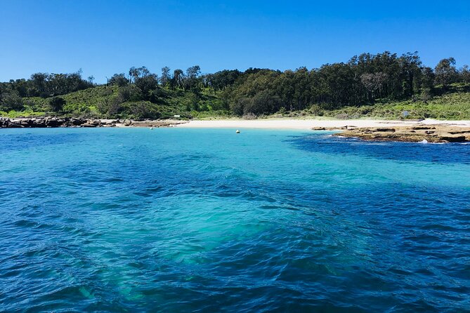 Jervis Bay Whale Watching Tour - Wildlife Beyond Whales: Dolphins, Seals, Penguins, and More