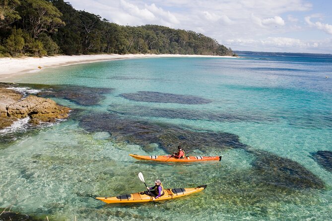 Jervis Bay Whale Watching Tour - Guides and Onboard Energy: Why the Commentary Matters