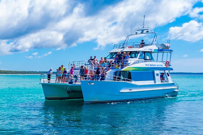 Jervis Bay Whale Watching Tour - Humpbacks in Jervis Bay: Northern vs Southern Migration Chances