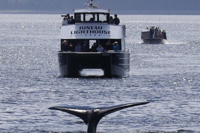 Juneau Lighthouse Tours - Whale watching & Lighthouse Combo - Cruise-Dock Pickup at Your Pier Makes the Day Easier