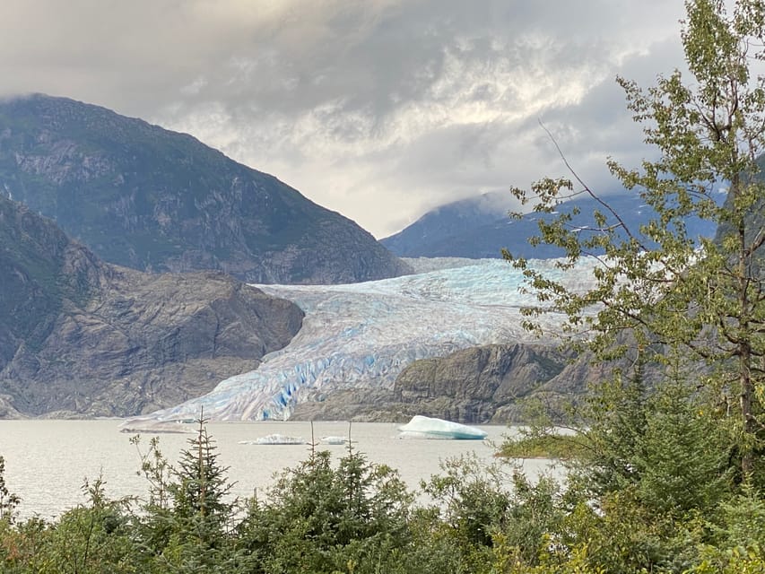 Juneau: Mendenhall Glacier and Whale Watching Tour - Mendenhall Glacier and humpbacks in one 4-hour window