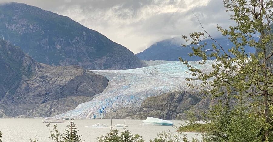 Juneau: Mendenhall Glacier and Whale Watching Tour - Visitor Center stops: your quick orientation before the boardwalk