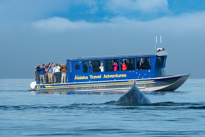 Juneau Whale Watching and Salmon Bake - The 48-passenger boat: where you’ll actually see whales
